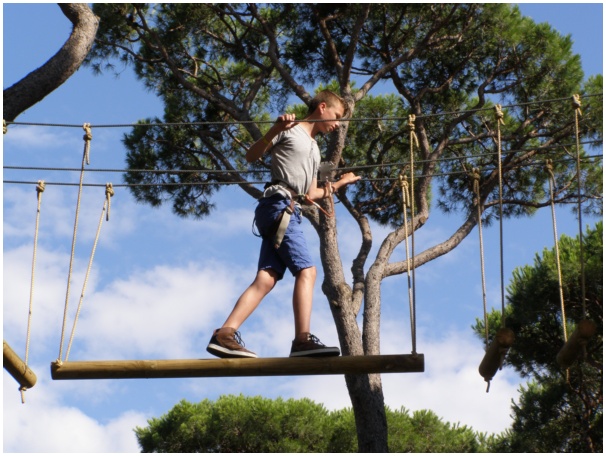 584x433 pixels (135K)