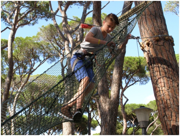 584x433 pixels (177K)