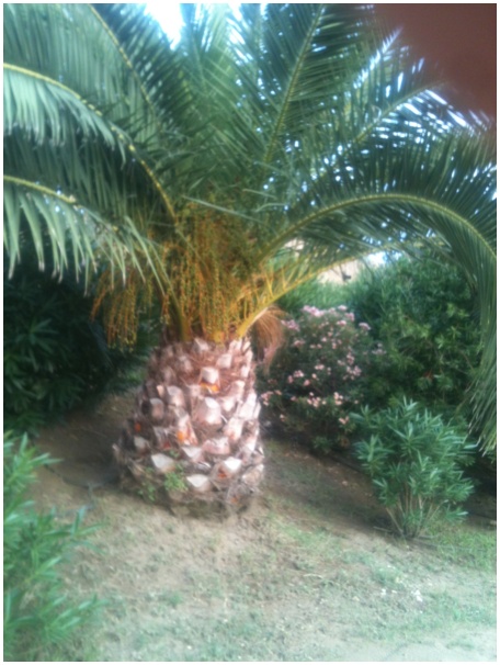 434x583 pixels (112K)