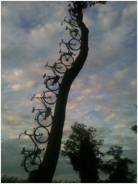 434x583 pixels (76K)