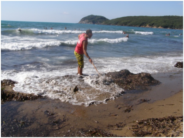 584x433 pixels (99K)