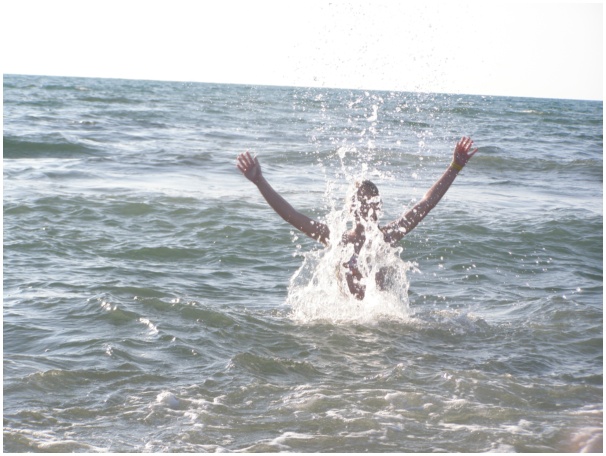 584x433 pixels (111K)