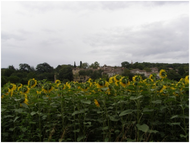 584x433 pixels (90K)