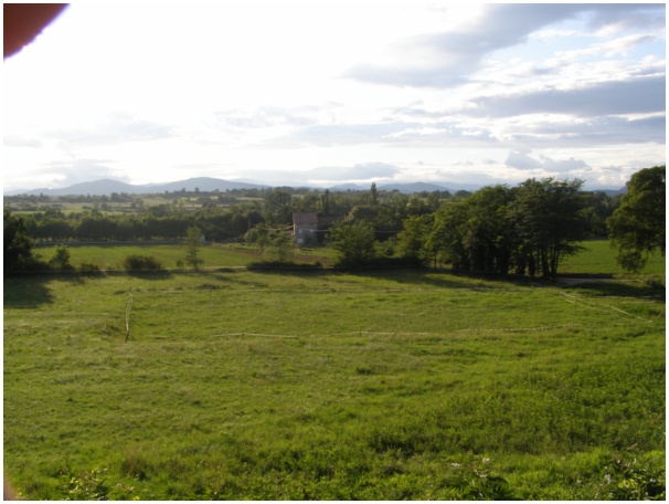 584x433 pixels (98K)